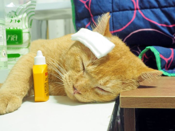 เจอศัตรู คู่อาฆาต เลยฟาดปาก 1