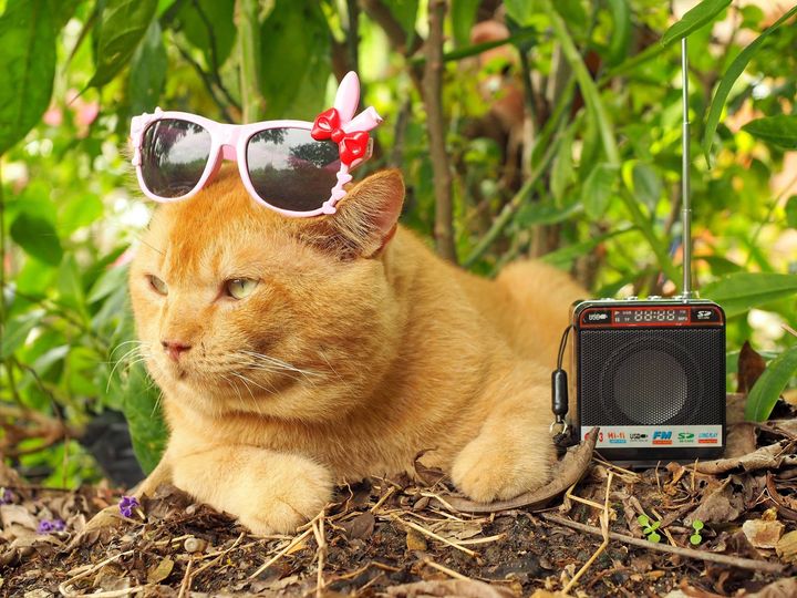 ลมเย็นพัด ลัดมา เวลาเหงา 1