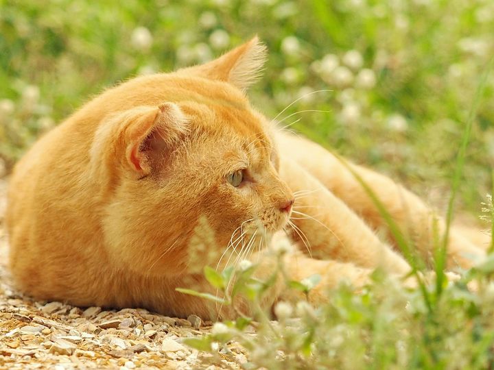 ขอแต่งกลอน อ้อนแฟน ทั่วแดนฟ้า 1