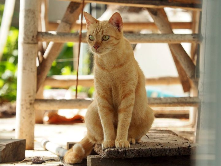ได้เพลิดเพลิน เดินสวน ล้วนสนุก 1