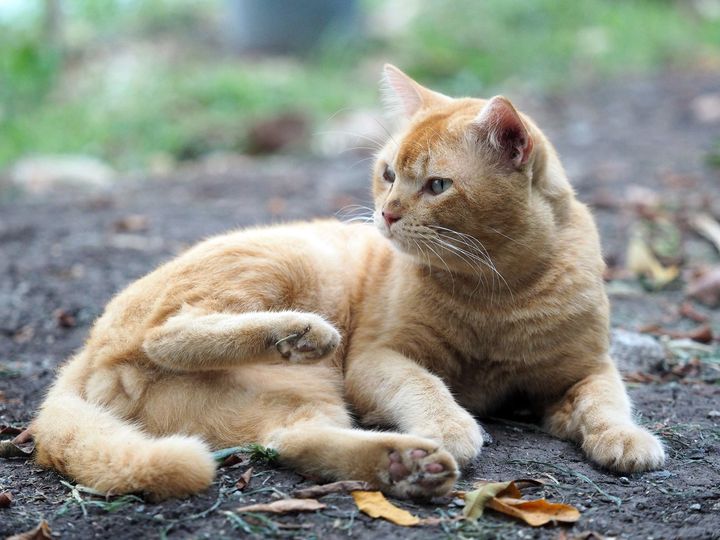 นั่งหน้ามอม ยอมทน เพราะจนยาก 1