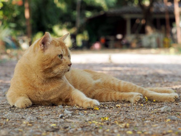 แม้จะเบื่อ จงเชื่อใจ ผู้ใหญ่สอน 1