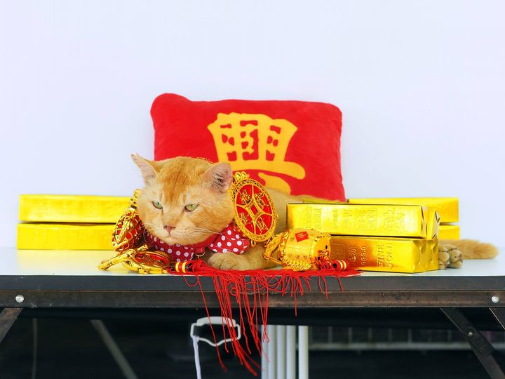 ให้มีทอง กองเทิน เท่าเนินเขา 1