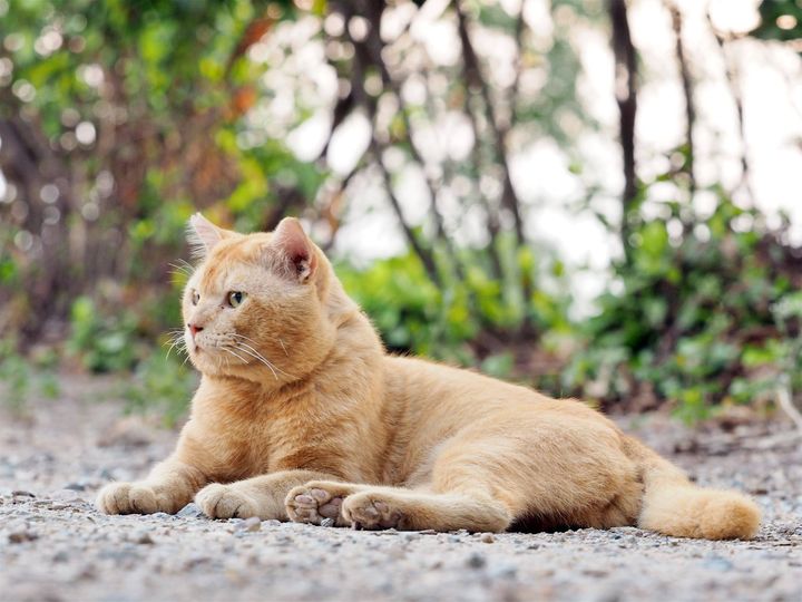 จะเป็นพ่อ ขอลุ้น ไม่ครุ่นคิด 1