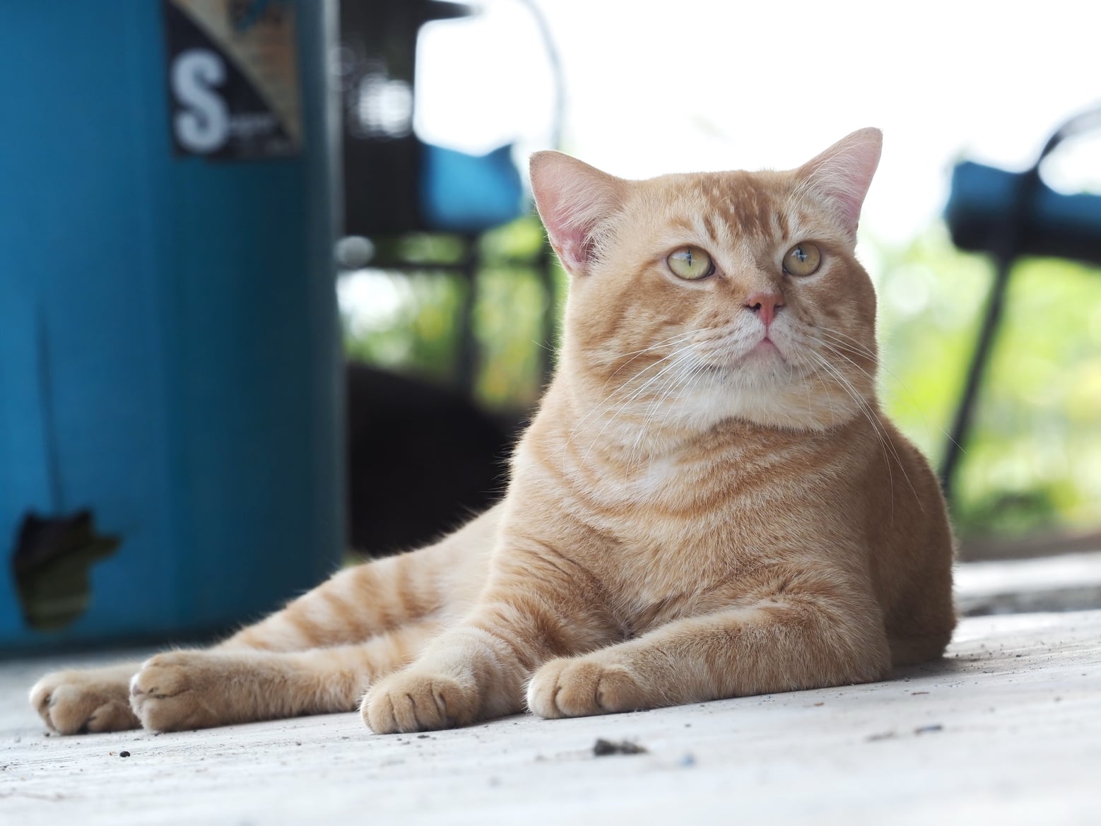 เมฆดูครึ้ม ทึมเทา มีเค้าฝน 2