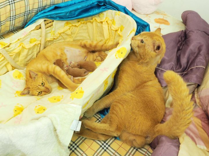 ช่วยฉันนิด คิดชื่อ ไว้สื่อสาร 1