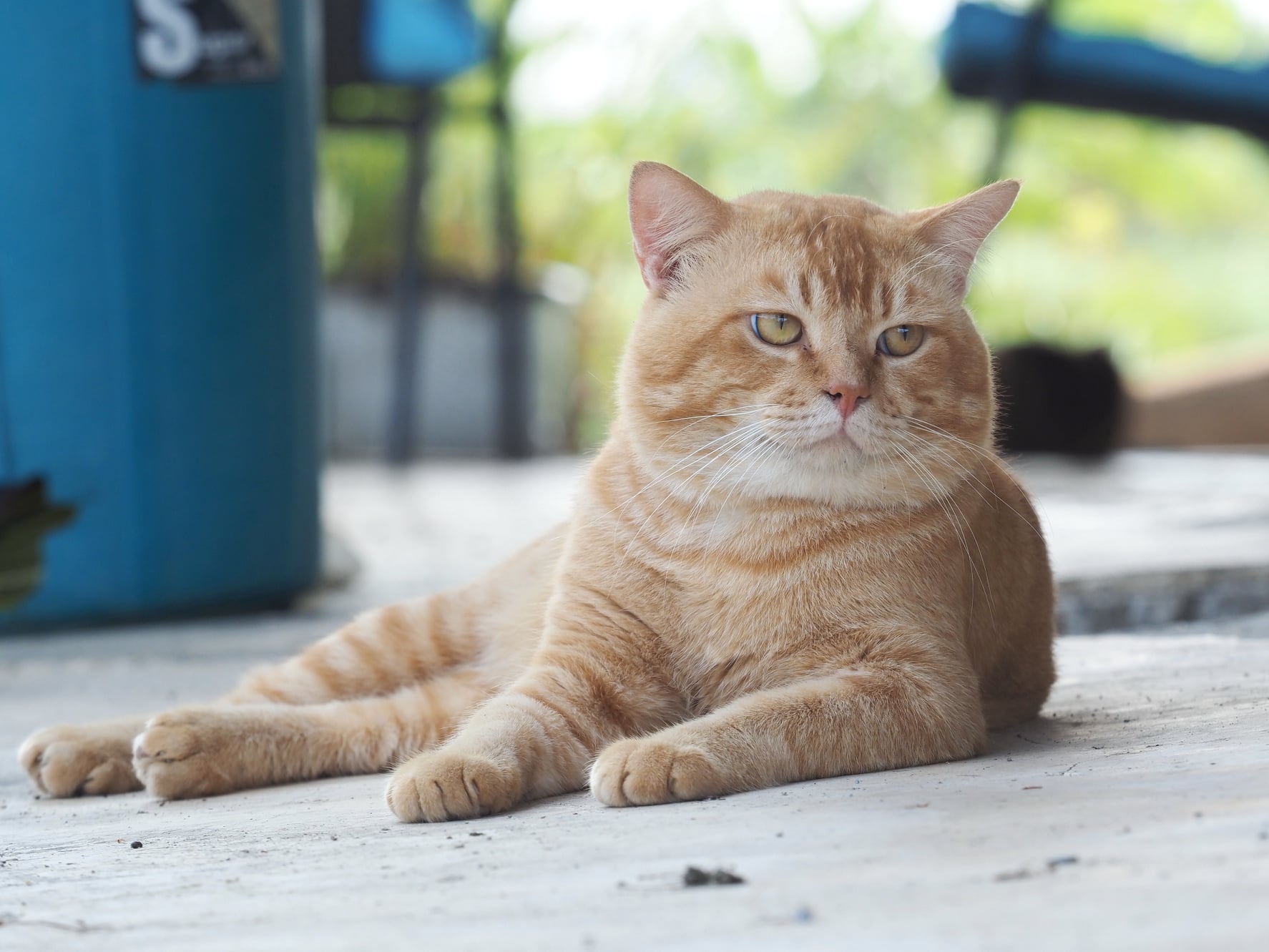 เมฆดูครึ้ม ทึมเทา มีเค้าฝน 3