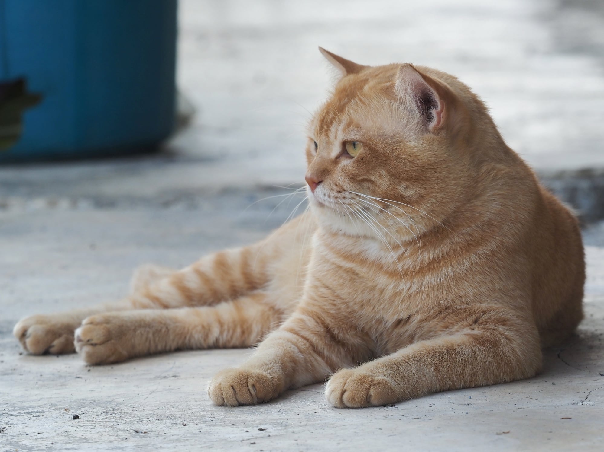 เมฆดูครึ้ม ทึมเทา มีเค้าฝน 4