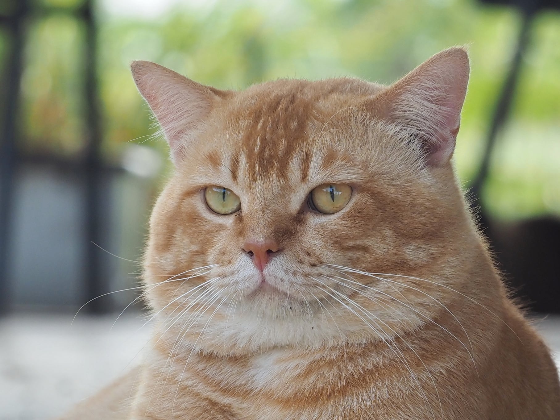 เมฆดูครึ้ม ทึมเทา มีเค้าฝน 1