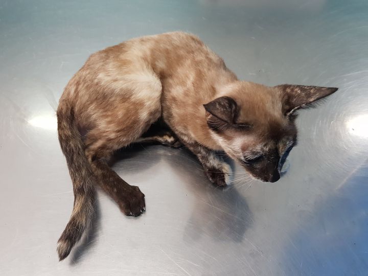 อัปเดตอาการ #โนอา 1