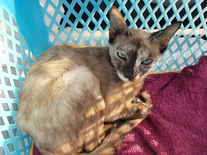 อัปเดตอาการ #โนอา 1