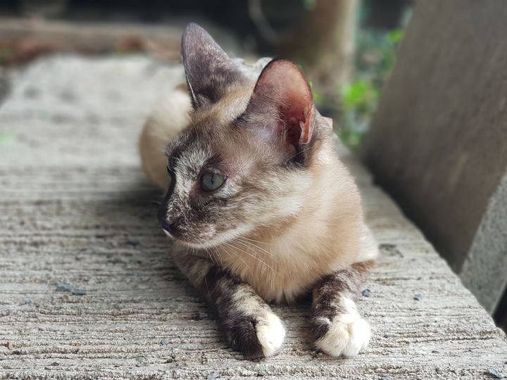 อัปเดตอาการ #โนอา 1