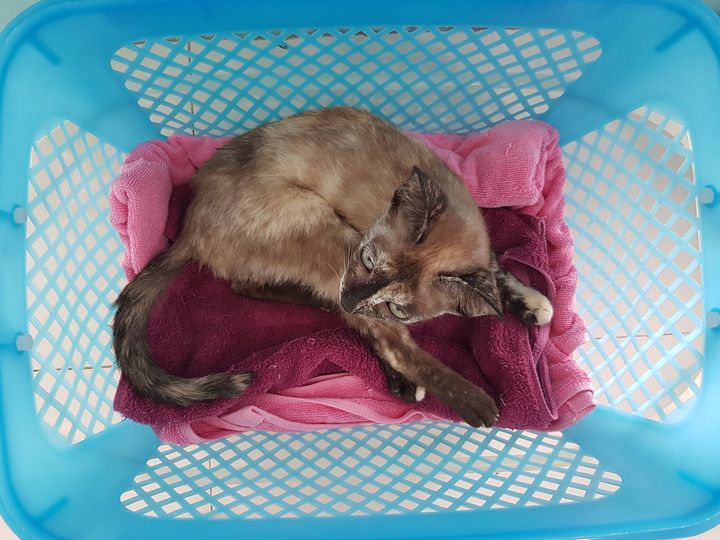 อัปเดตอาการ #โนอา 1