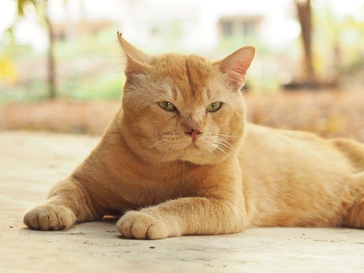 หน้าจะมอม ยอมทน แค่บ่นว่า 1