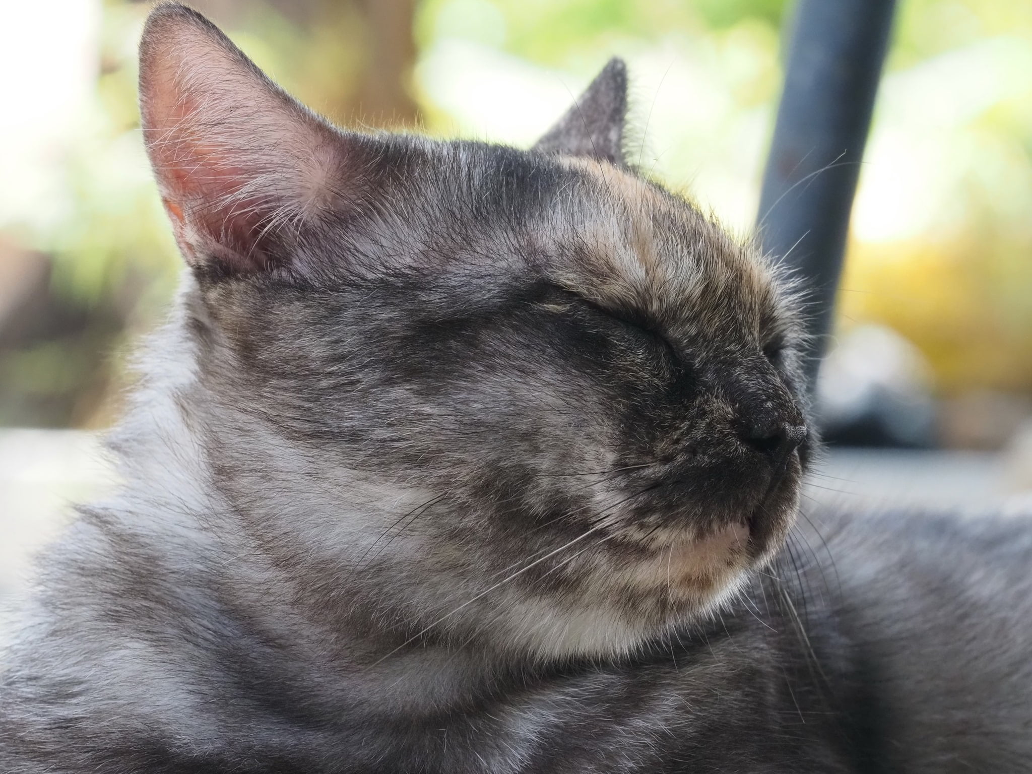 โดนเขาใช้ ให้เรา อยู่เฝ้าบ้าน 5