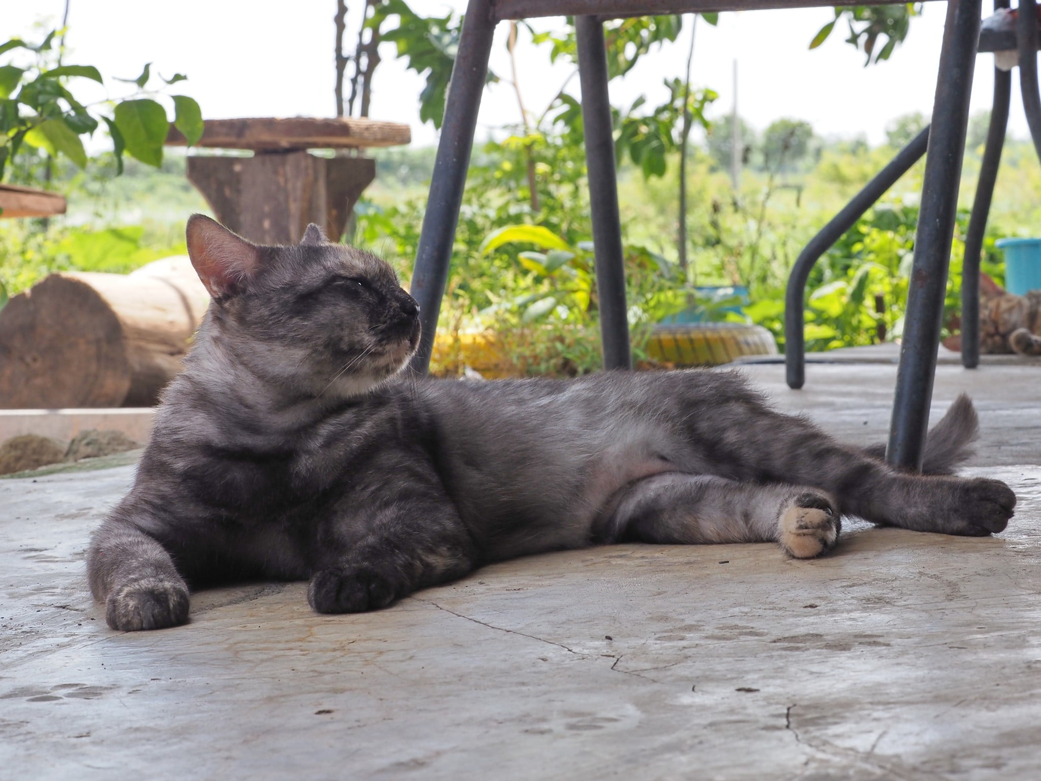 โดนเขาใช้ ให้เรา อยู่เฝ้าบ้าน 4