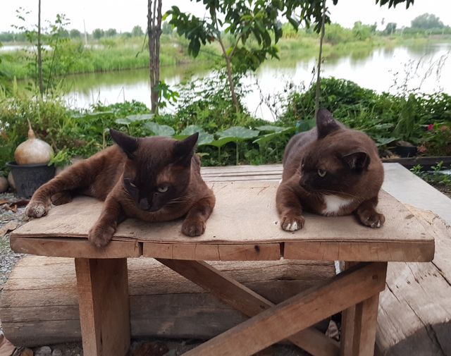 #ยายฉลวย กับ #ยายเฉลียว เดี๋ยวทะเลาะ เดี๋ยวก็รักกัน บางวันไล่ตบกัน แต่บางวันก็นอ 1