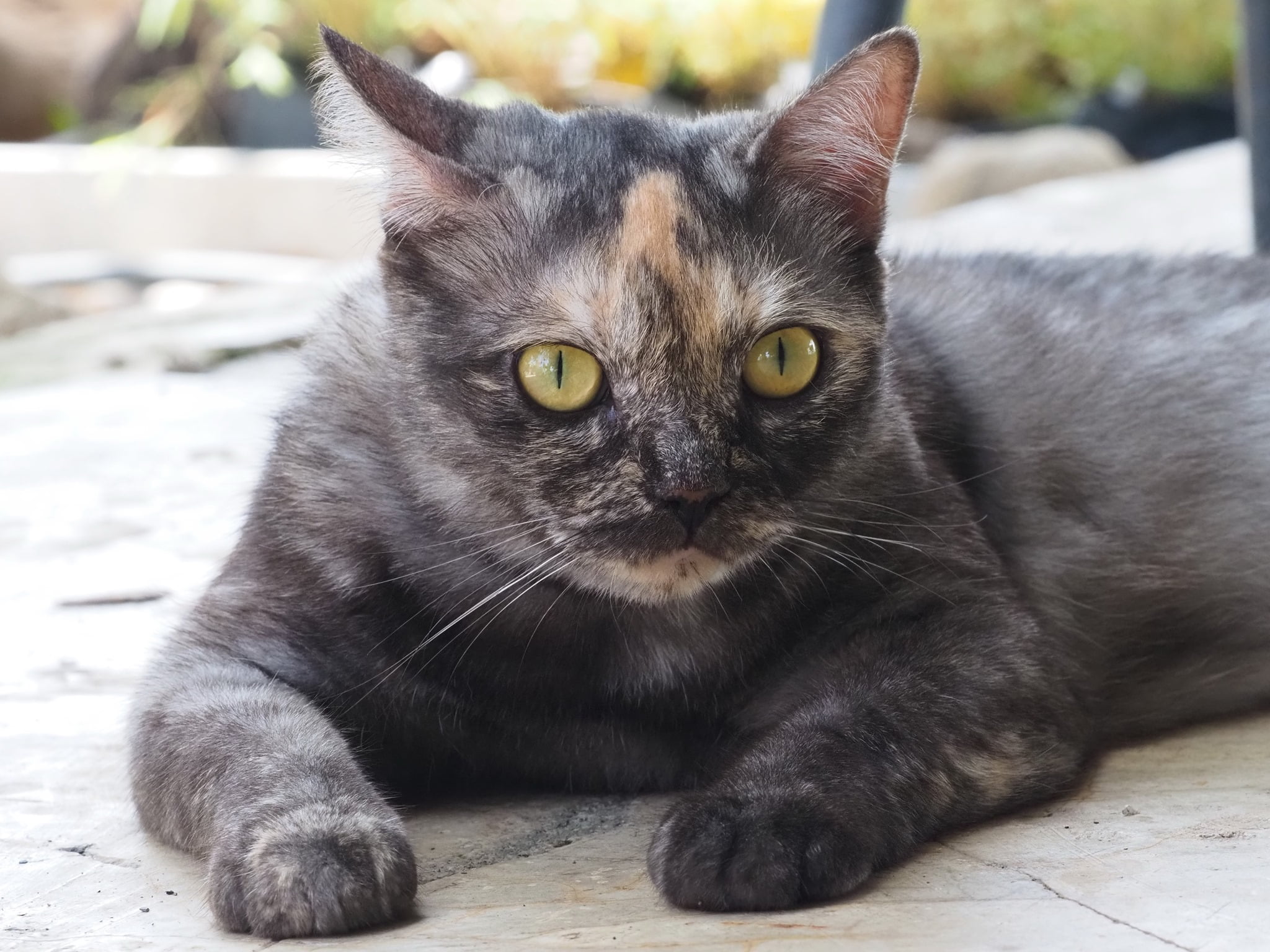 โดนเขาใช้ ให้เรา อยู่เฝ้าบ้าน 1