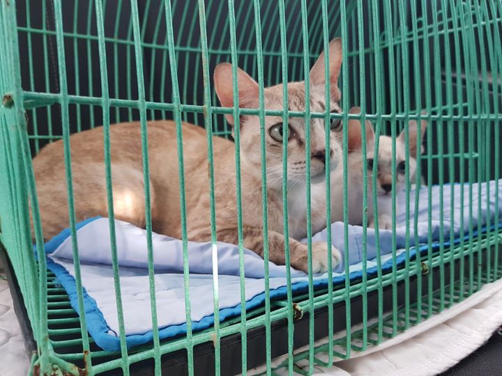 วันนี้แม่ปลาสร้อยกับปลาซิวไปหาหมอครับ 1