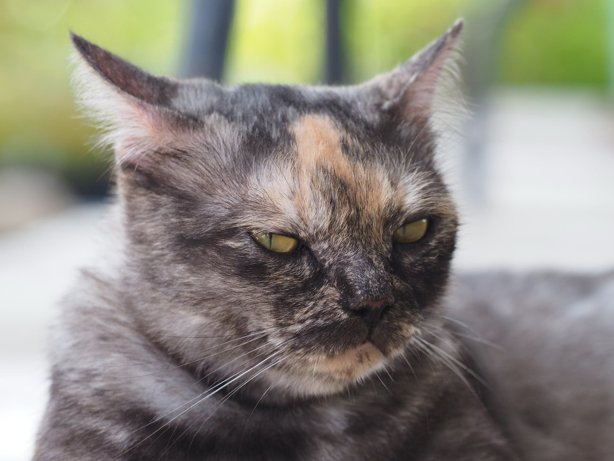 โดนเขาใช้ ให้เรา อยู่เฝ้าบ้าน 2