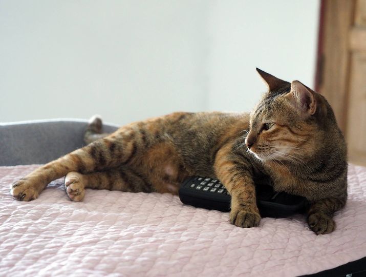 ก้อห่วงหนอ รอสาย จนบ่ายกว่า 1