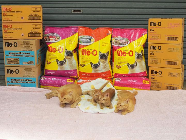 อาหารดี มีฝาก ก็มากโข 1