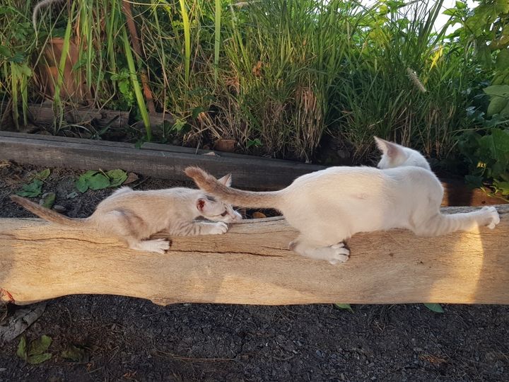 น้องยังเด็ก เล็กจัด ดูขัดข้อง 1