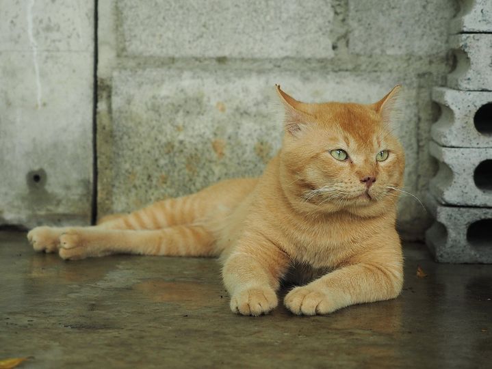 ฝนยังพรำ ค่ำมา ไม่น่าหยุด 1