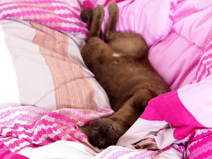 เสร็จแล้วงาน ฉันโล่ง หนอสงกรานต์ 1