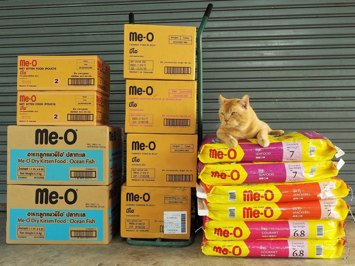 ขอขอบคุณ หนุนเกื้อ ไม่เบื่อหน้า 1