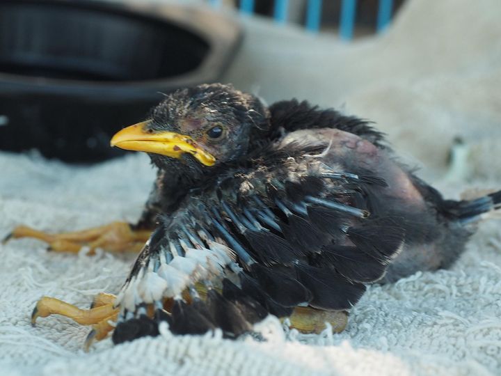 เจ้าจากไป ไวนิด ยังคิดถึง 1