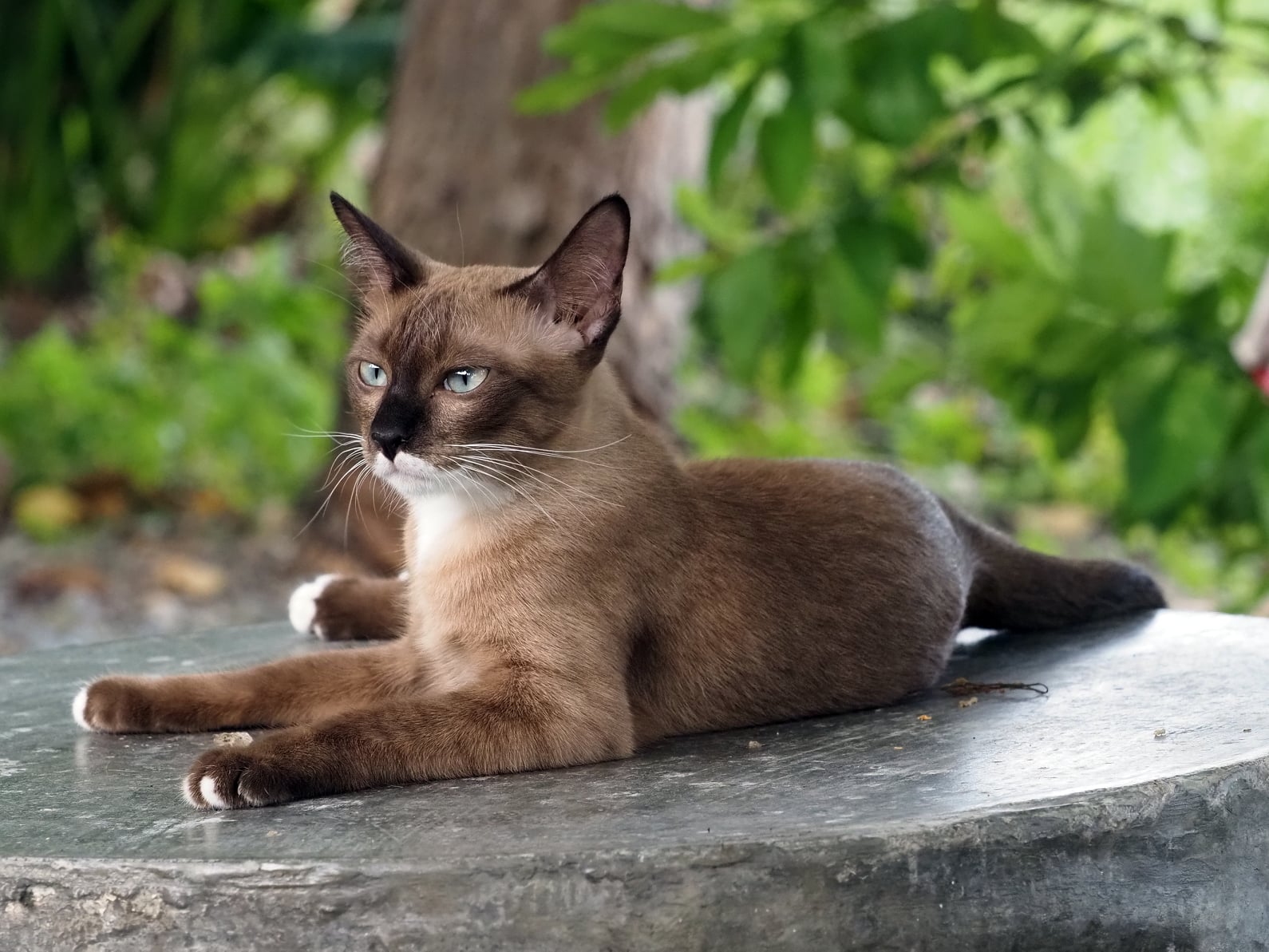 พ่อคอยบ่น ก่นหู จนหนูแย่ 5