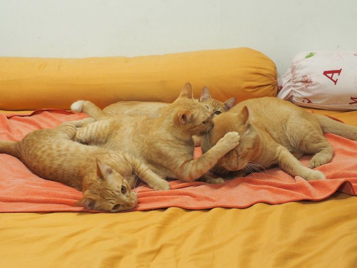 จนเที่ยงคืน ตื่นรอ เพราะพ่อหาย 1