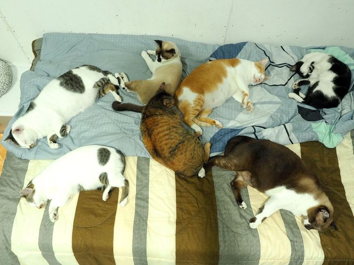 เพราะฝนพรำ ฉ่ำสาย ตอนบ่ายอ่อน 1