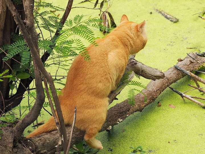 อยากคลุกตม งมหอย อร่อยหลาย 1