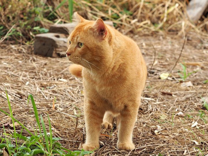 ไม่ได้หยุด คุดคู้ อยู่แต่ห้อง 1