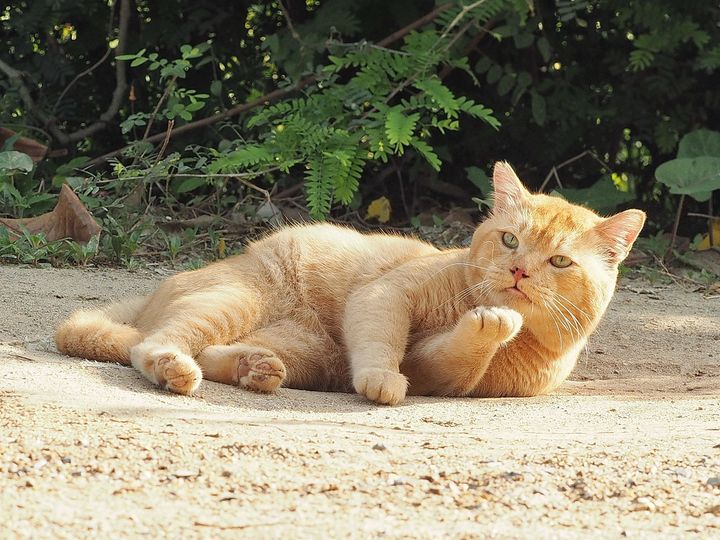 ให้แต่งองค์ ทรงเครื่อง เป็นเรื่องยาก 1