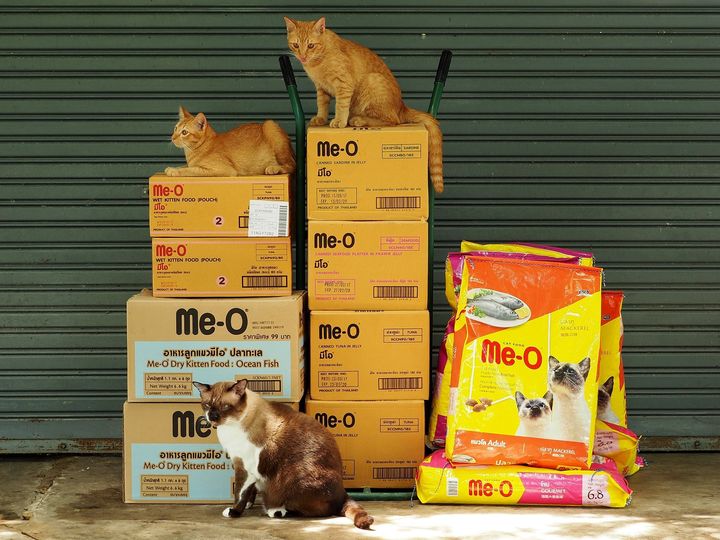 อาหารดี มีฝาก ก็หลากรส 1