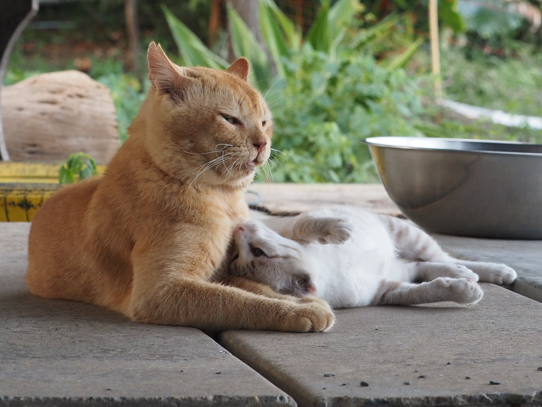 เราไปล่า ปลาปู ไหมปู่จ๋า 1