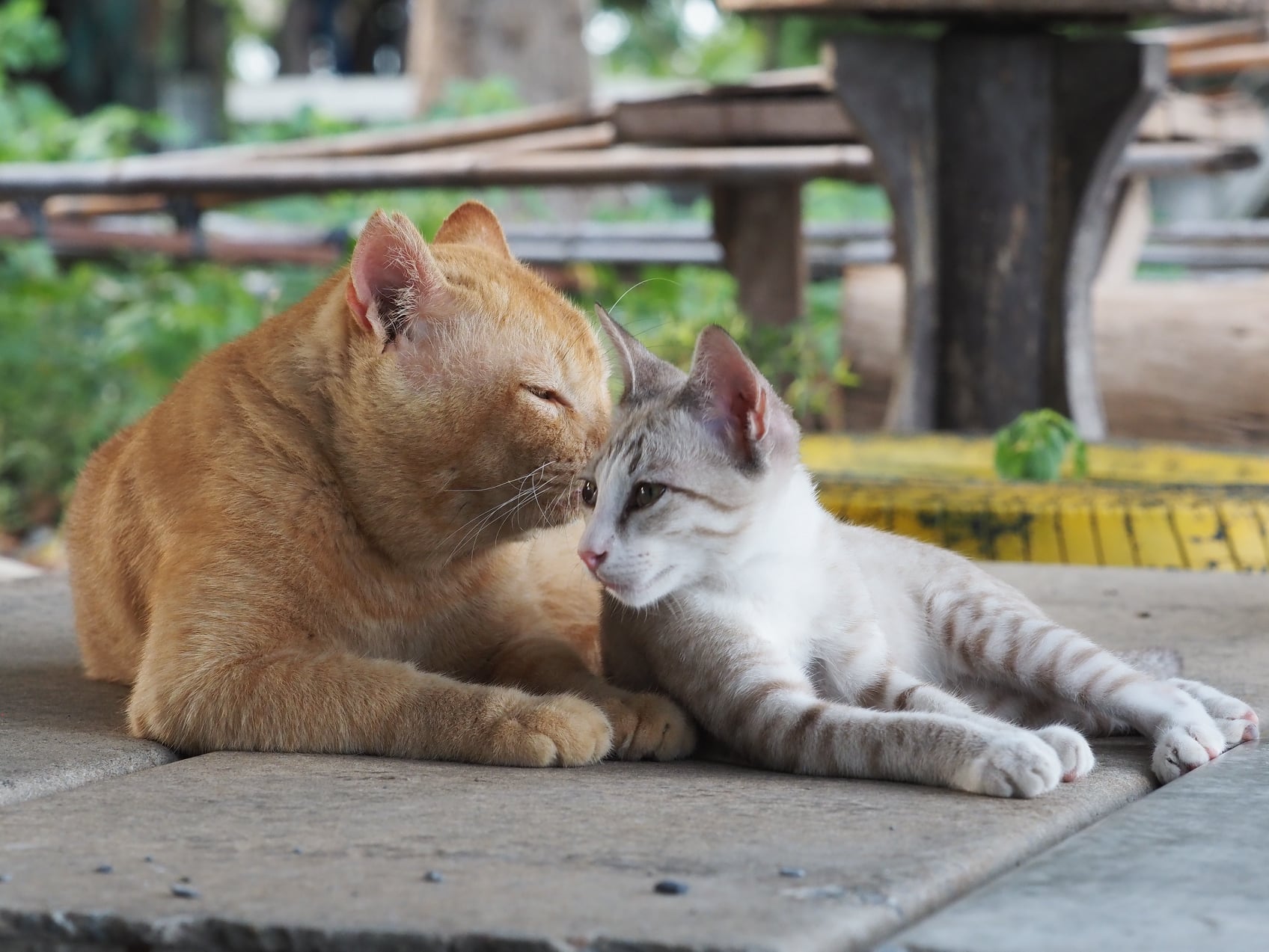 เราไปล่า ปลาปู ไหมปู่จ๋า 3