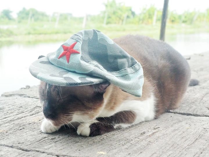 ลูกเจ้าทอง น้องรัก ก็ชักใหญ่ 1