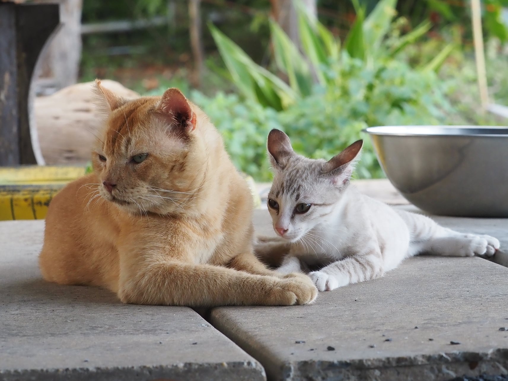 เราไปล่า ปลาปู ไหมปู่จ๋า 2