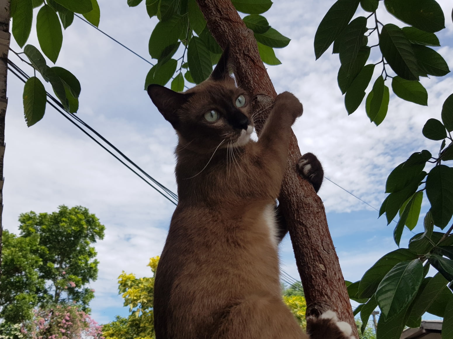 "วันนี้จะมีฝนฟ้าคะนองบางพื้นที่ ลมแรง ทะเลมีคลื่นปานกลางค่ะพ่อ" 1