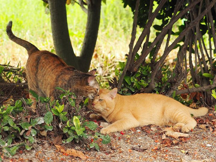 พี่ทำหน้า ตาเศร้า ไม่เข้าท่า 1