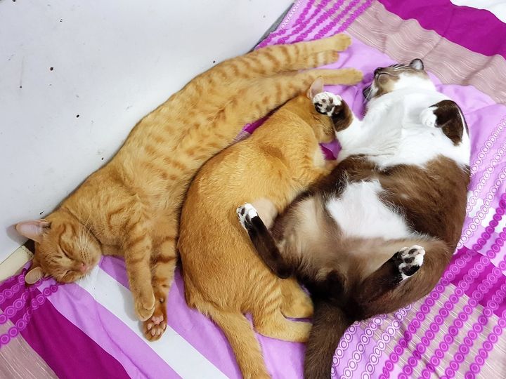 เราโชคดี มีลุง ที่พุงอุ่น 1