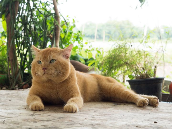 อยากไปมอง ท้องนา บรรยากาศ 1