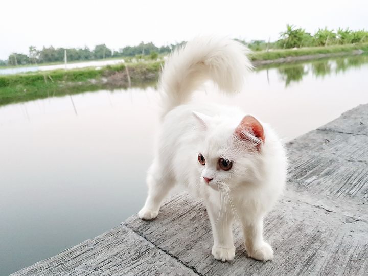 เพื่อนพี่น้อง ร้องหนาว ทุกเช้าสาย 1