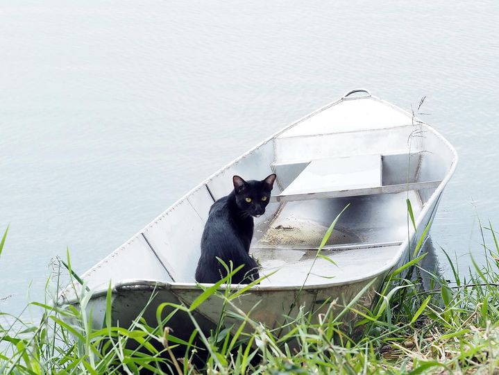 เอาเรืองล่อง ท้องนา ไปหารัก 1