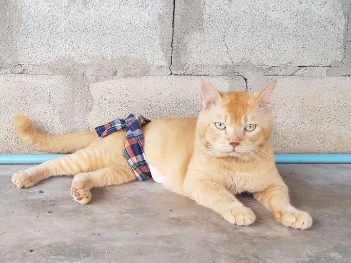 อัปเดต #ทองมี 1