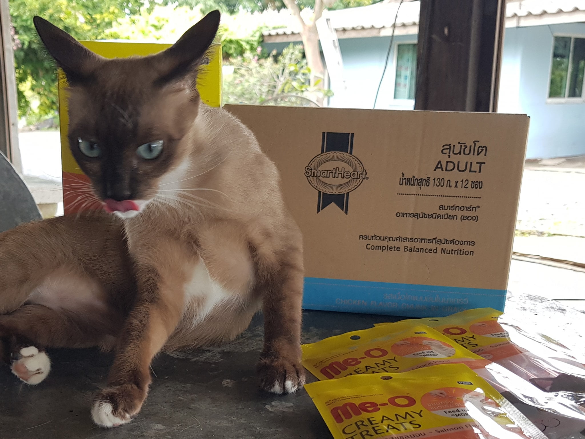 วันนี้ Me-O แวะมาเยี่ยมเยียน มีของมาฝากทั้งแมว หมา และคน ขอขอบคุณมากครับ 2